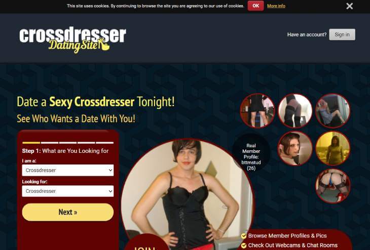 CrossdresserDatingSite main page