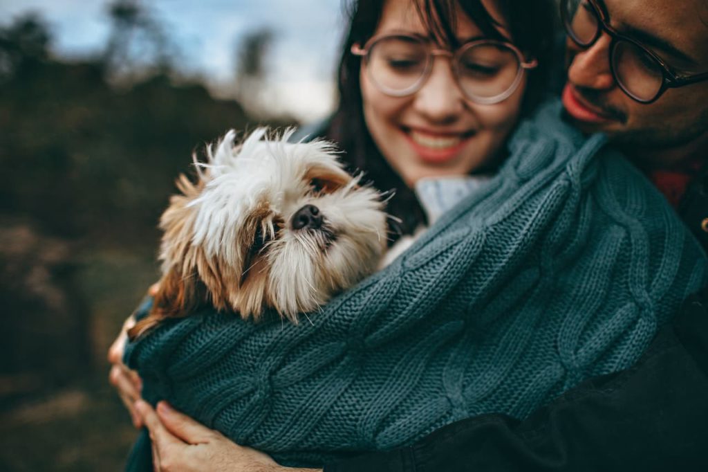 in park with dog